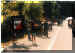 foto016.jpg (549816 byte)